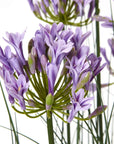 Lifelike purple agapanthus faux plant in pot with green foliage, 120cm tall, perfect for home or office decor.by Sostter at brixbailey.com