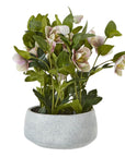 Faux Variegated Pink Hellebore in Ceramic Pot