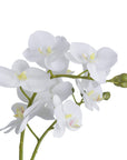 White artificial orchid in glass pot, lifelike blooms, elegant home decor centerpiece by Sostter at brixbailey.com