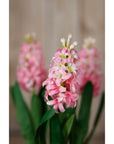 Luxury Pink Hyacinth Stem | Elegant Floral Decor