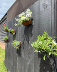 Vintage Rusty Metal Wall Mounted Planter / Herb Planter / Plant Pot / Key Holder