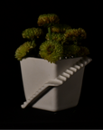 STAIRS SERIES - FLOWER POT