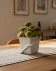 STAIRS SERIES - FLOWER POT