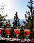Bee Glasses Set of 4, 220ml