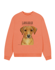 Will Sit for Snacks: The Fox Red Labrador Oversized Sweatshirt