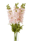 Pink Delphinium Stem for Lovely Floral Displays
