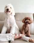 Mini Baguette enrichment dog toy