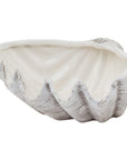 Medium White Ceramic Shell Bowl Coastal Accent