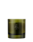 Fig Bee Scented Candle in Glass