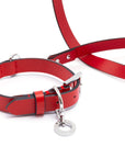 Premium Leather Set