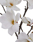 White Magnolia Stem Garden Decoration
