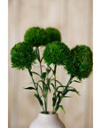 Lush Dark Green Dianthus Stem | Fresh Floral Elegance