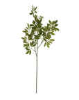 Lifelike artificial fennel stem with feathery green foliage, 76cm tall, for farmhouse or Scandinavian floral arrangements by sostter at brixbailey.com