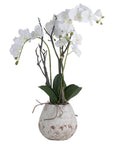 Lifelike white faux orchid in rustic stone pot, perfect for home decor with realistic blooms and designer-quality stoneware planter. by sostter at brixbailey.com