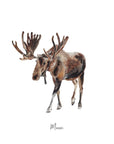 Moose - Personalised Watercolour Fine Art Print