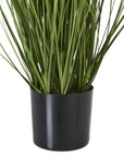 Vibrant Purple Agapanthus Potted Plant