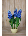 Blue Hyacinth Stem for Stylish Indoor Display