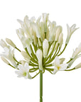 Cream Agapanthus Artificial Flower Stem