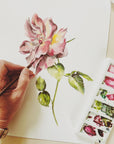 Rose - June Birth Flower - Watercolour Fine Art Print