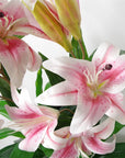 Artificial Flower Plant Tree 90cm Pink Lily 90cm Planter-1