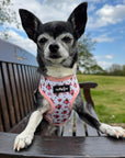 Luxury White Vintage Floral Harness by My Pup and Me