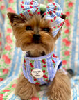 Eden's Orchard Dog Cooling Vest