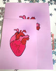 Pink and red anatomical heart hand drawn art print in A5 or A4