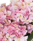 Romantic Pink Hydrangea Bouquet