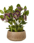 Faux Plum Hellebore in Taupe Ceramic Pot