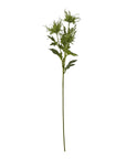 Soothing Green Sea Holly Hydrating Mist | Fresh & Revitalizing