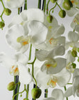 Large White Orchid Plant Artifcial 41 REAL TOUCH flowers Botanik-1