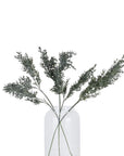 Darkening Grass Spray | Realistic Stem Effects | Instant Coverage