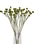 Handcrafted green craspedia artificial stems with spherical blooms, sage green color, 60cm height for floral arrangements. by sostter at brixbailey.com