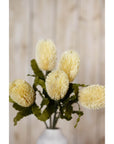 Cream Faux Banksia Serrata Stem