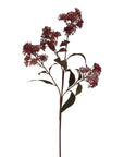 Burgundy Smokebush Stem Medium Floral Accent