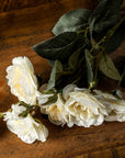 Soft White Cottage Rose Stem