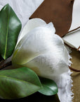 White Magnolia Flower Stem