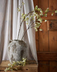 Soothing Elaeocarpus Stem | Natural Relaxation