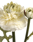 Fresh Green Ranunculus Bouquet | Elegant Floral Spray