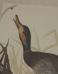 Charming Duck Beaded Frame Art | Flora & Fauna Linen Decor