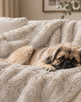 Luxury Black Frost Faux Fur Dog Blanket | Reversible with Soft Suede Backing