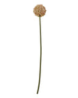 Elegant Pink Allium Stem | Stunning Floral Decor