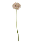 Gorgeous Lilac Giant Allium Stem | Elegant Floral Decor