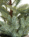 Elegant Garda Pine Tree in Stone Pot | Home Decor