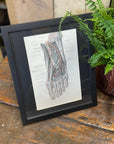 Framed Antique Anatomy Print 1920s Medical Book Plate Wall Art Picture I