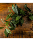 Elegant Laurel Leaf Greenery Spray | Natural Decor
