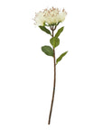 Cream Artificial Protea Stem