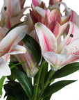 Handcrafted white and pink silk stargazer lily stem, hyper-realistic artificial flower for home decor by sostter at brixbailey.com