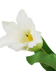 Pure White Parrot Tulip Stem