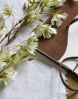 Soothing Elaeocarpus Stem | Natural Relaxation